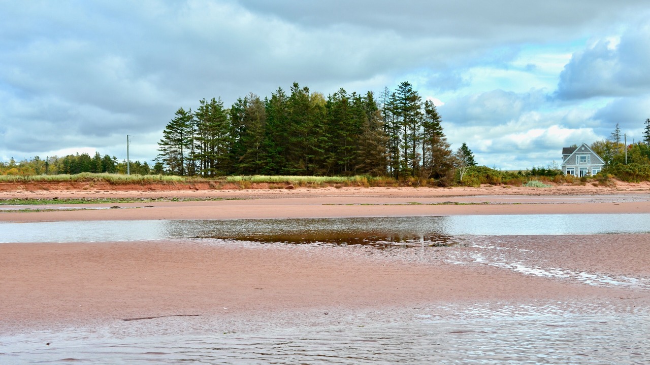 Photo of Others in Augustine Cove