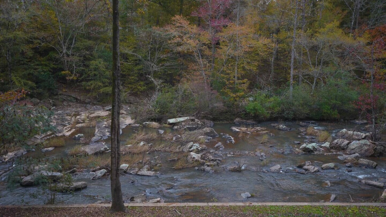 Photo of Others in Lee County