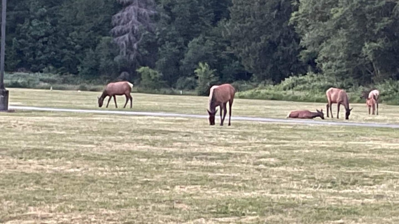 Photo of Others in Packwood