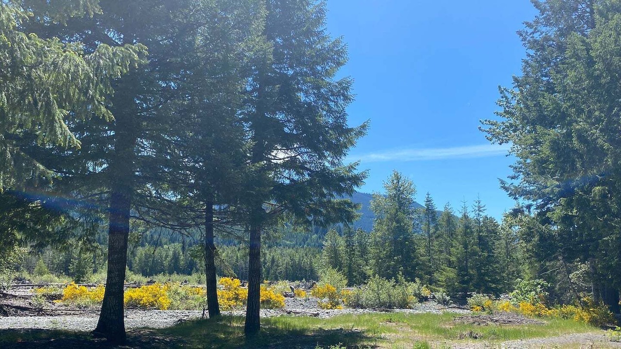 Photo of Outdoor in Packwood