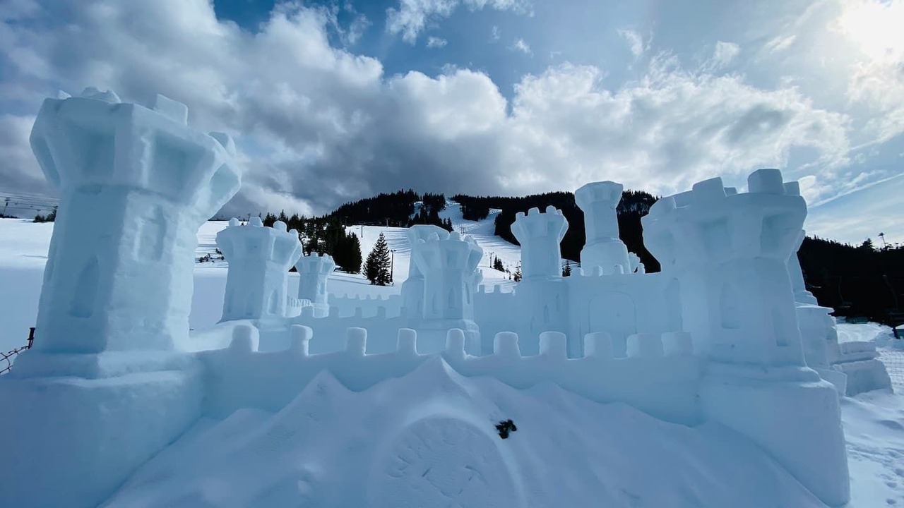 Photo of Outdoor in Packwood