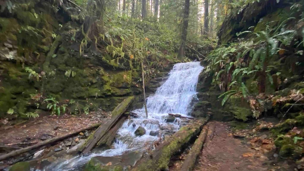 Photo of Outdoor in Packwood
