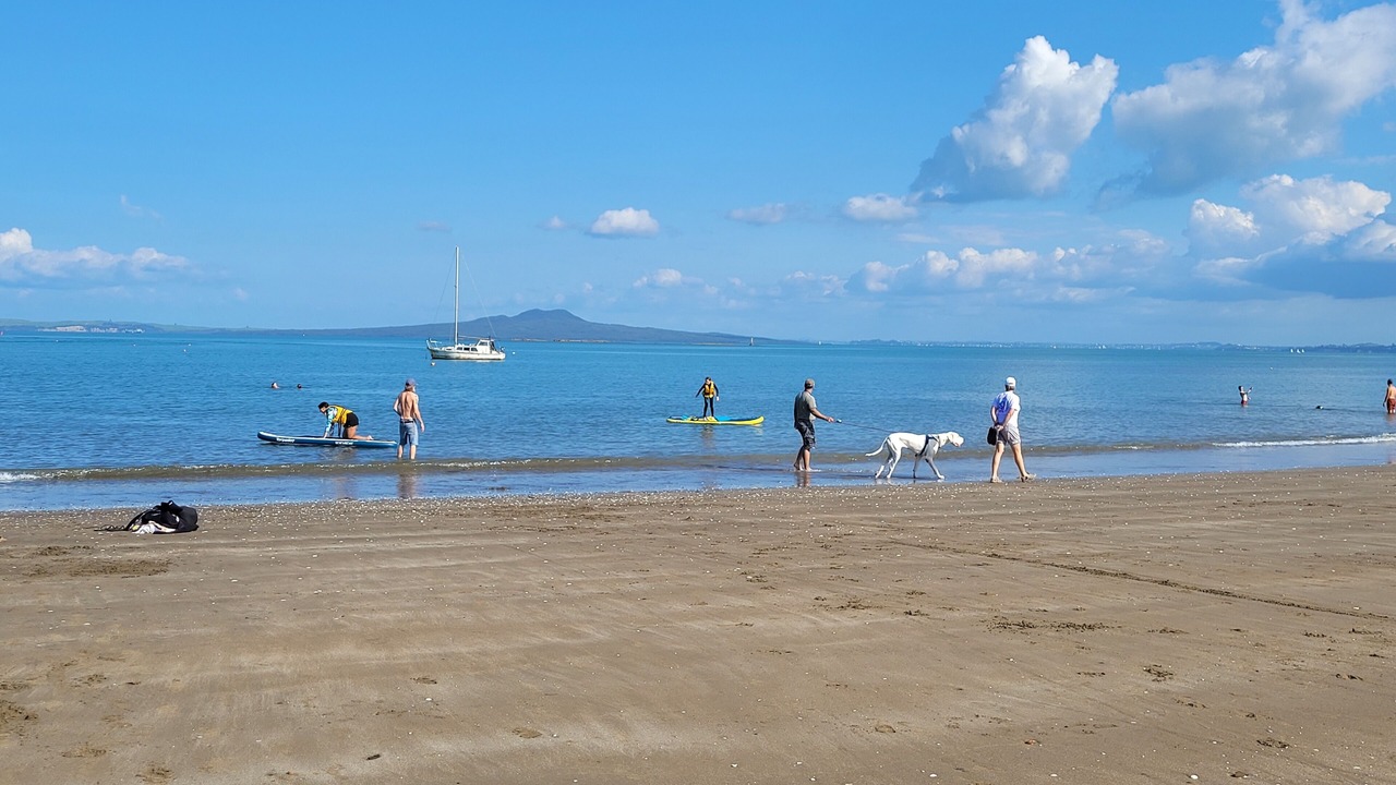 Photo of Others in Torbay