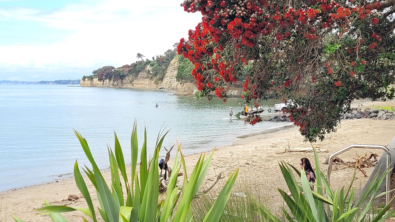 Photo of Others in Torbay