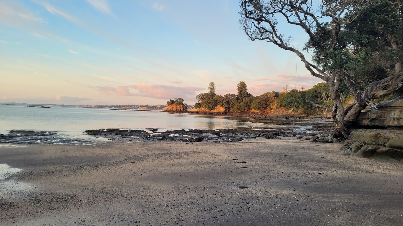 Photo of Others in Torbay