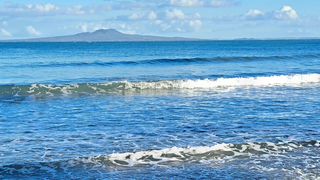 Photo of Others in Torbay