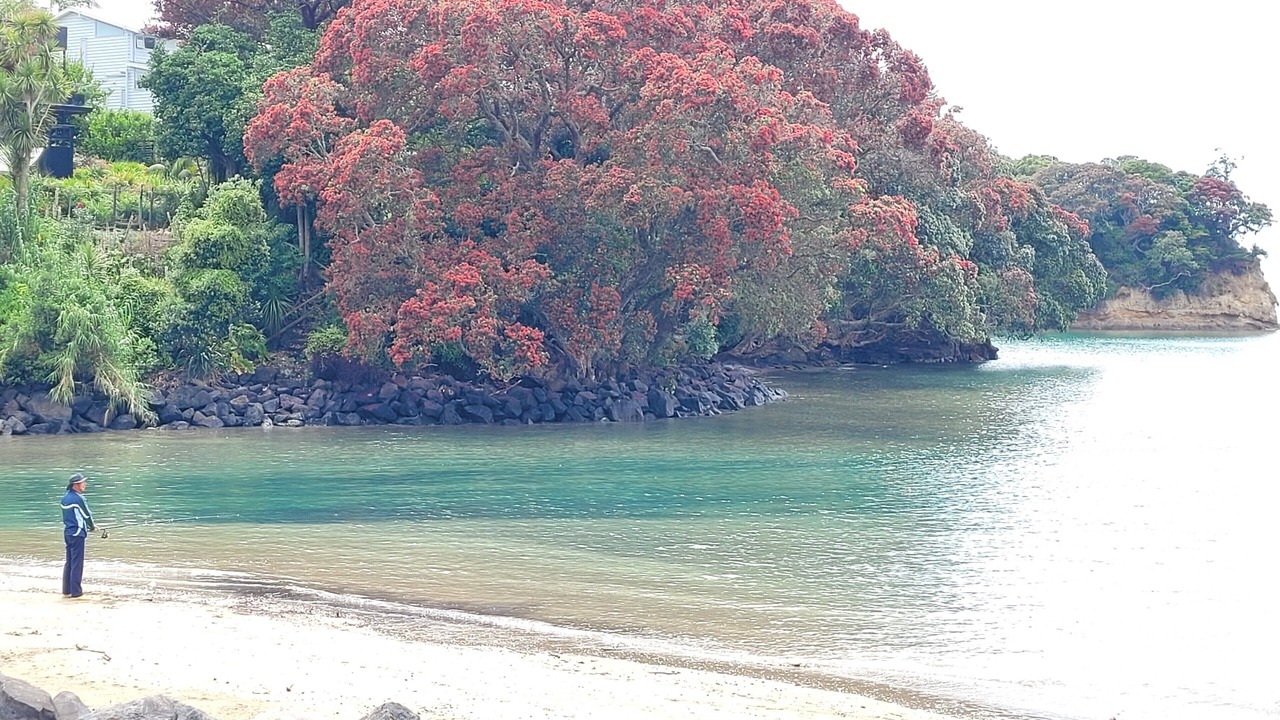 Photo of Others in Torbay