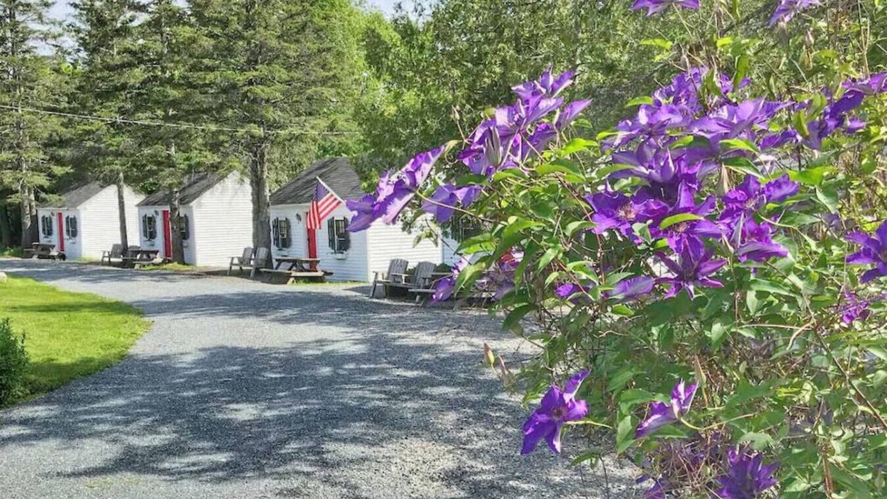 Photo of Outdoor in Trenton