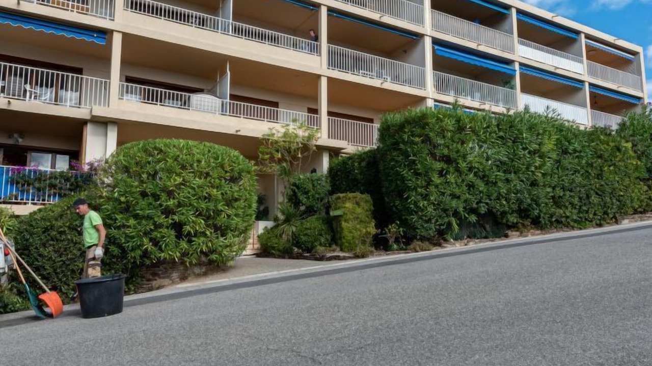 Photo of Others in Cavaliere