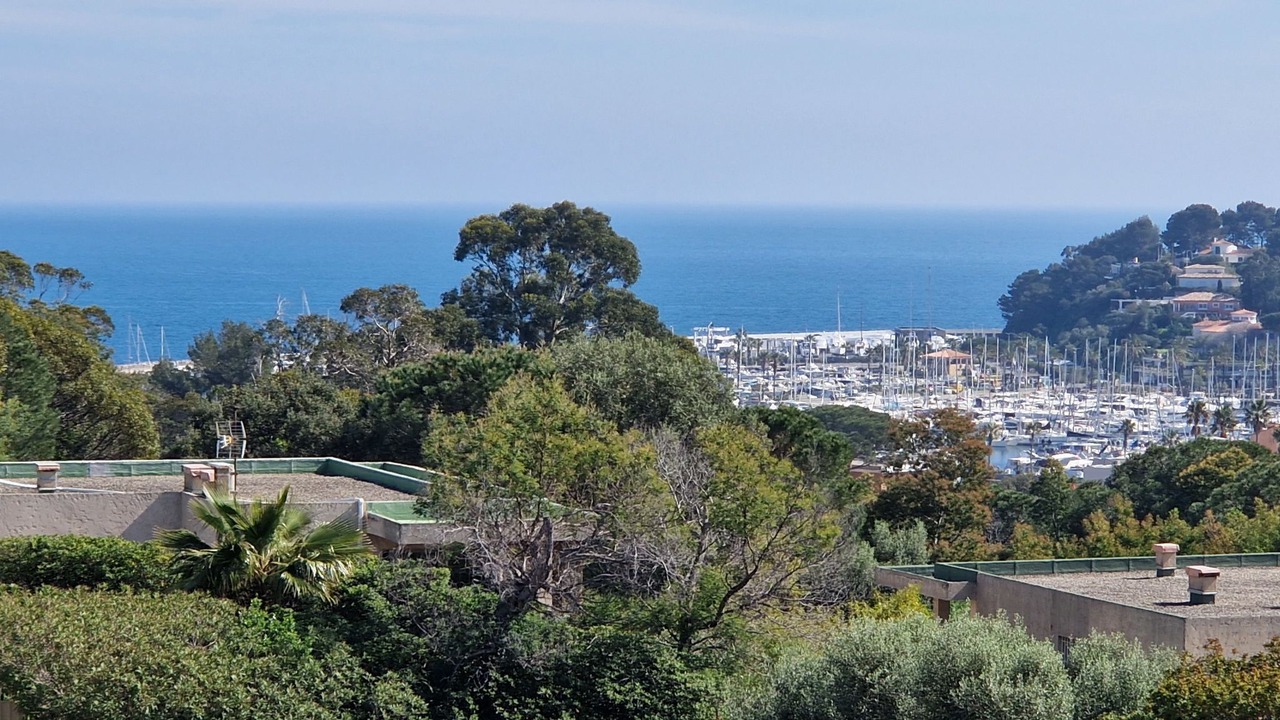 Photo of Others in Cavaliere