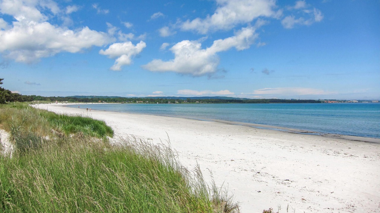 Photo of Others in Balka Strand