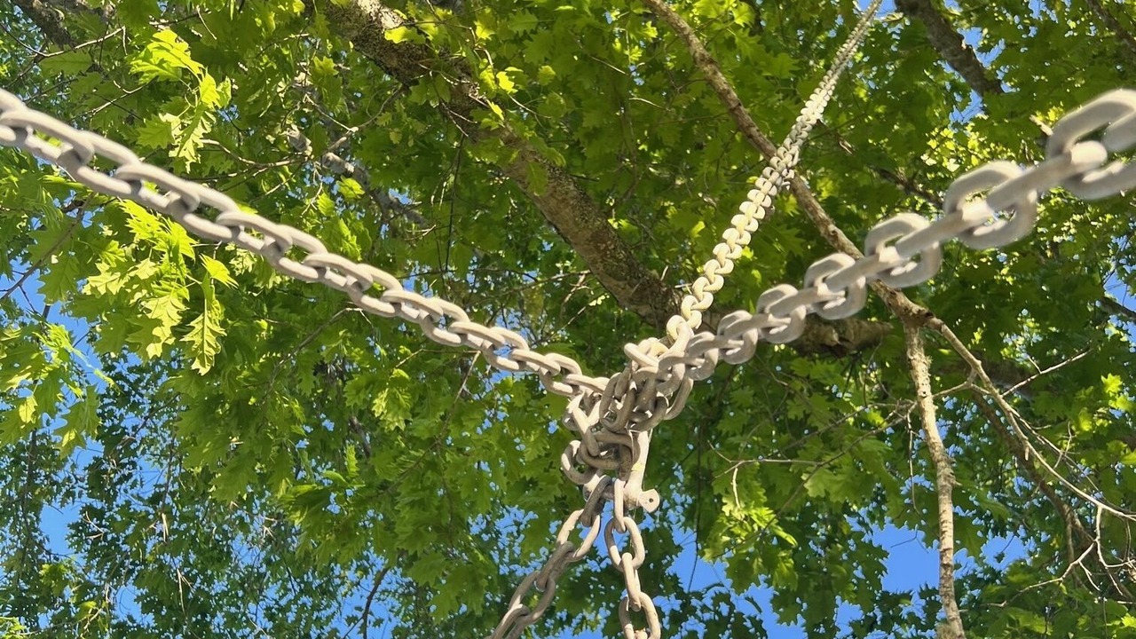 Photo of Others in Kerikeri