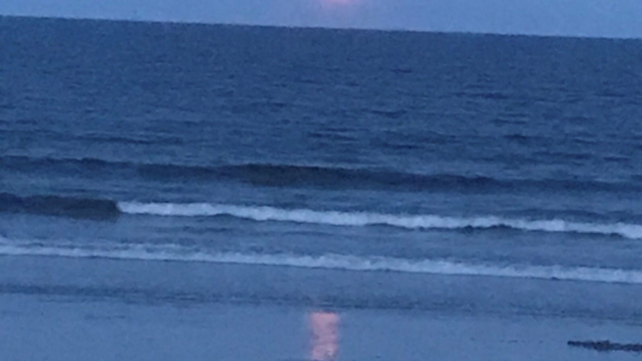 Photo of Others in Ocean Park