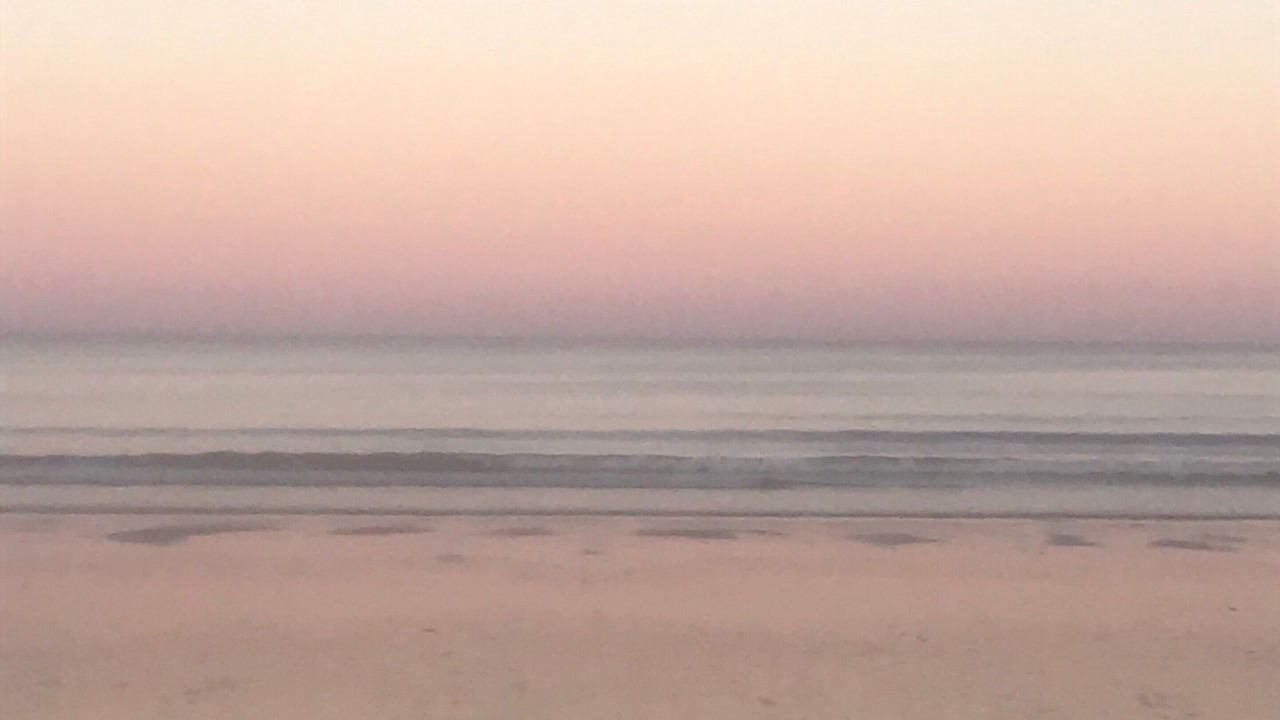 Photo of Others in Ocean Park