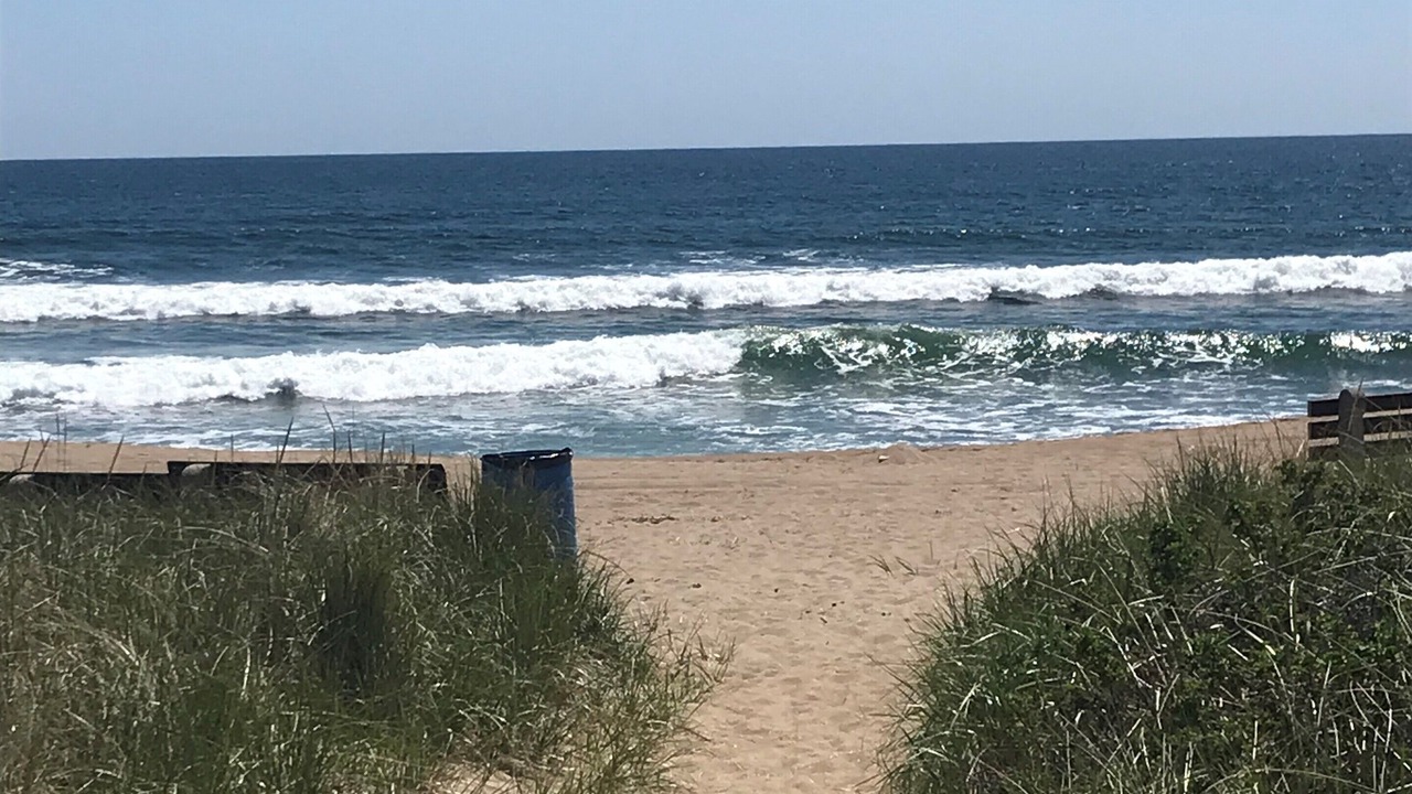 Photo of Others in Ocean Park