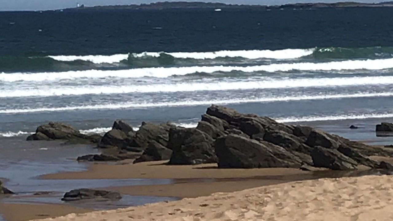 Photo of Others in Ocean Park