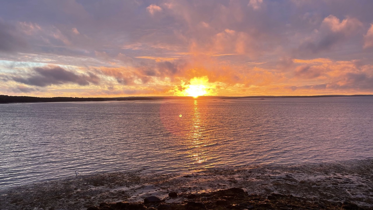 Photo of Others in Sebascodegan Island