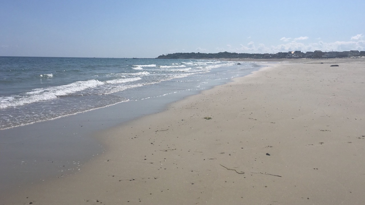 Photo of Others in Manomet