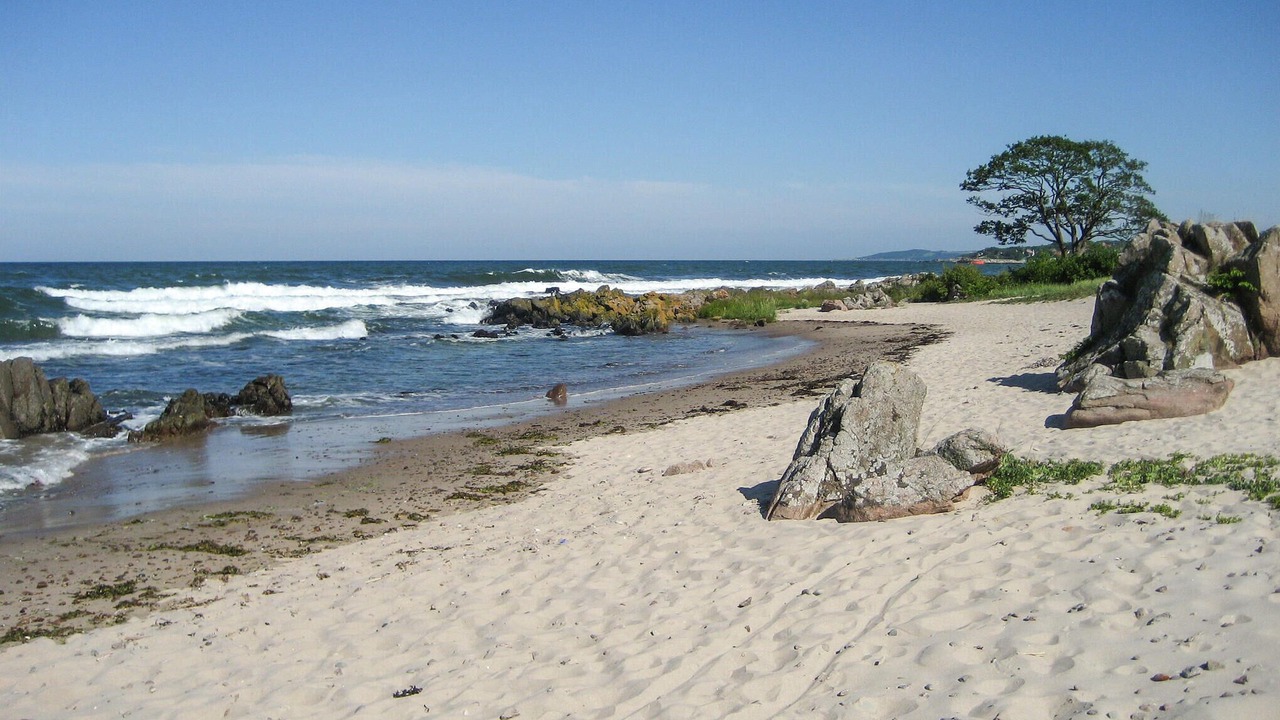 Photo of Others in Sandkaas