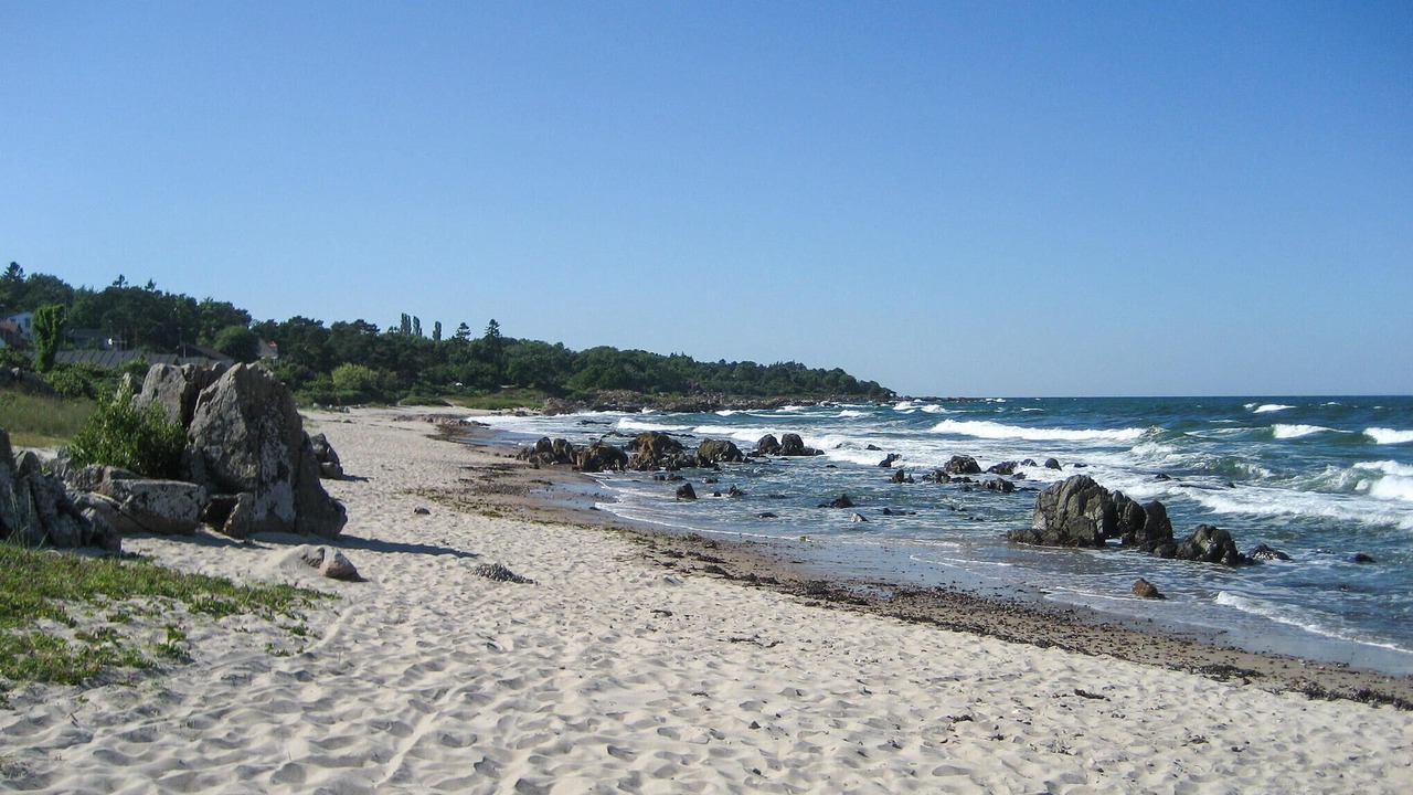 Photo of Others in Sandkaas