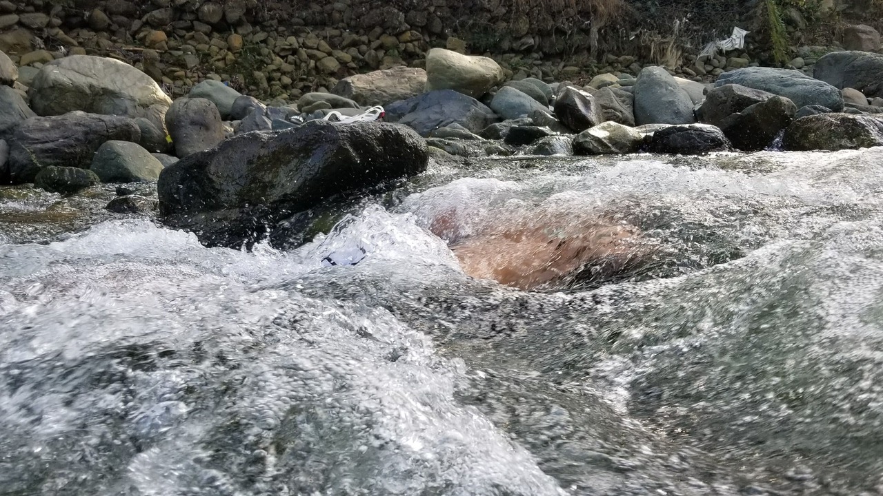 Photo of Others in Bonao