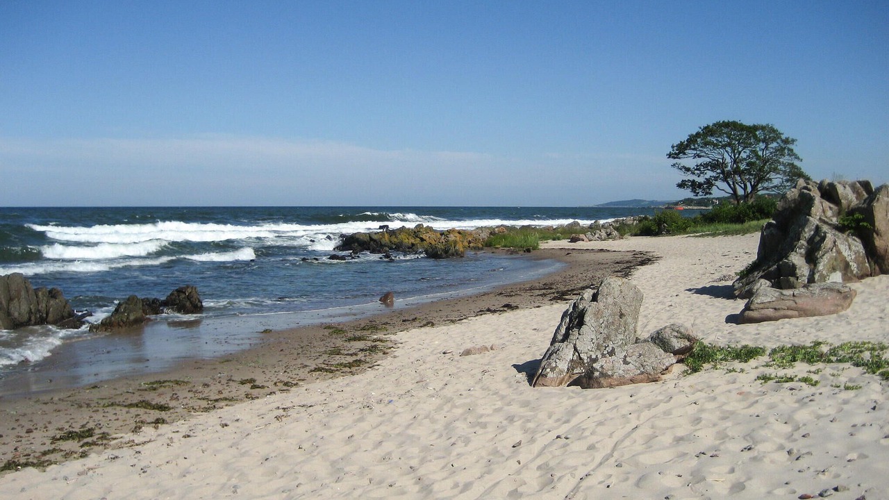Photo of Others in Sandkaas