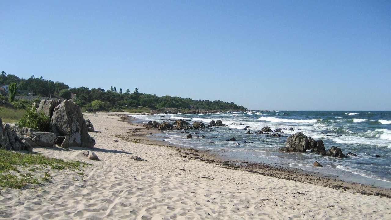 Photo of Others in Sandkaas