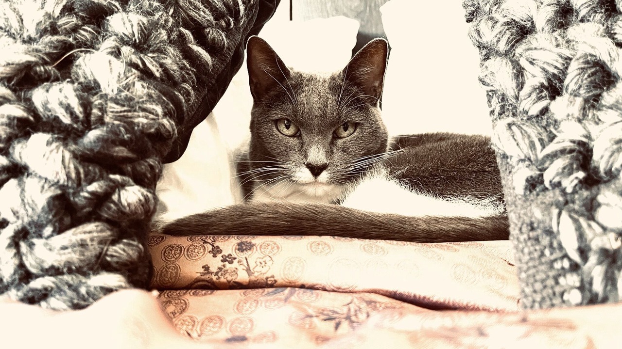 Photo of Others in Ludlow