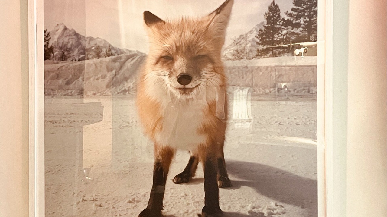 Photo of Others in Ludlow