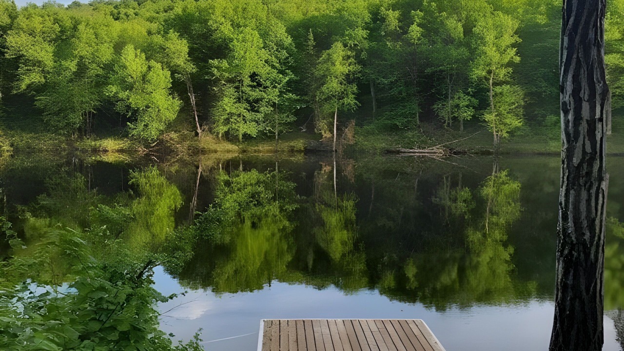 Photo of Others in Lac-aux-Sables