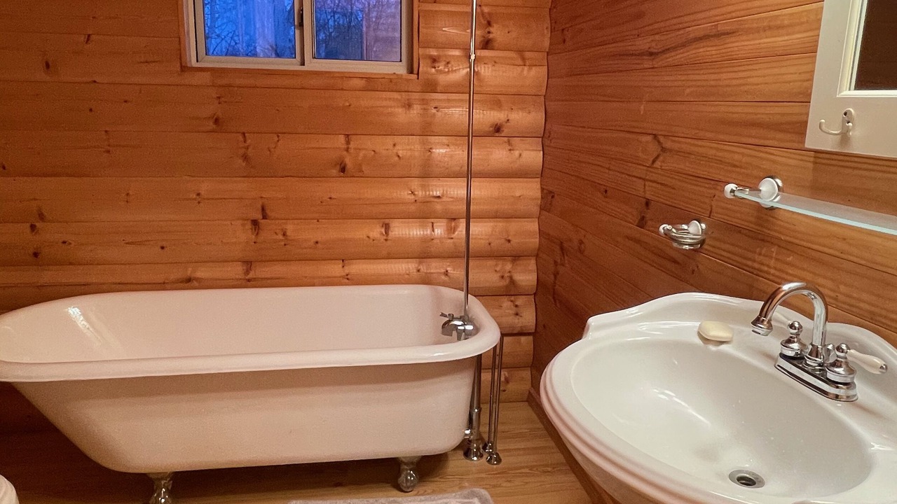 Photo of Bathroom in Swanlake