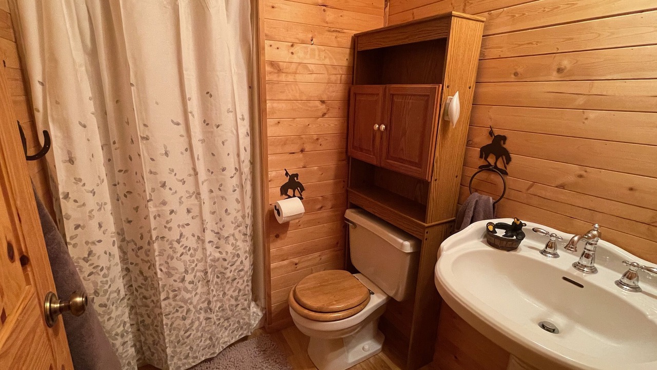 Photo of Bathroom in Swanlake