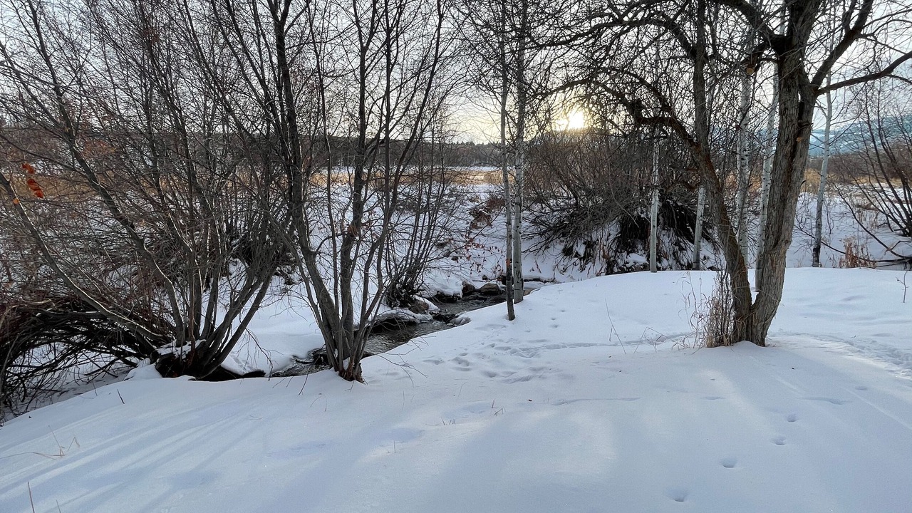 Photo of Outdoor in Swanlake