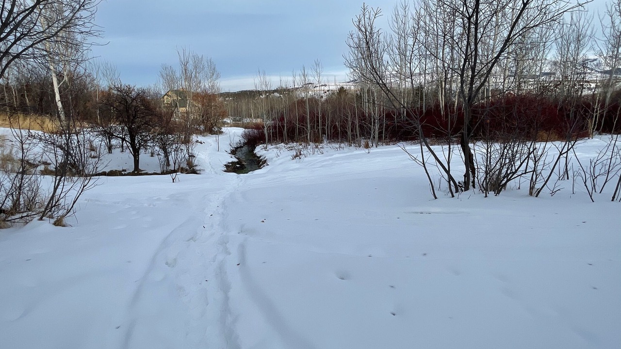 Photo of Outdoor in Swanlake