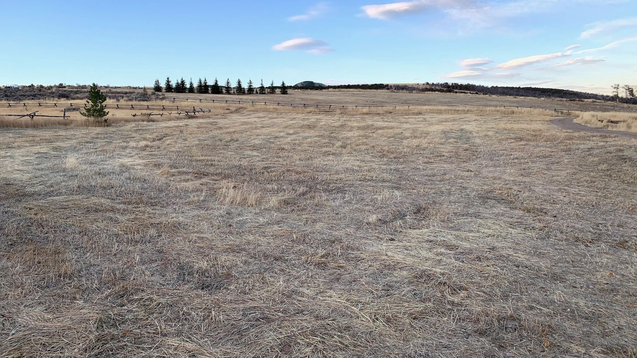 Photo of Others in Swanlake