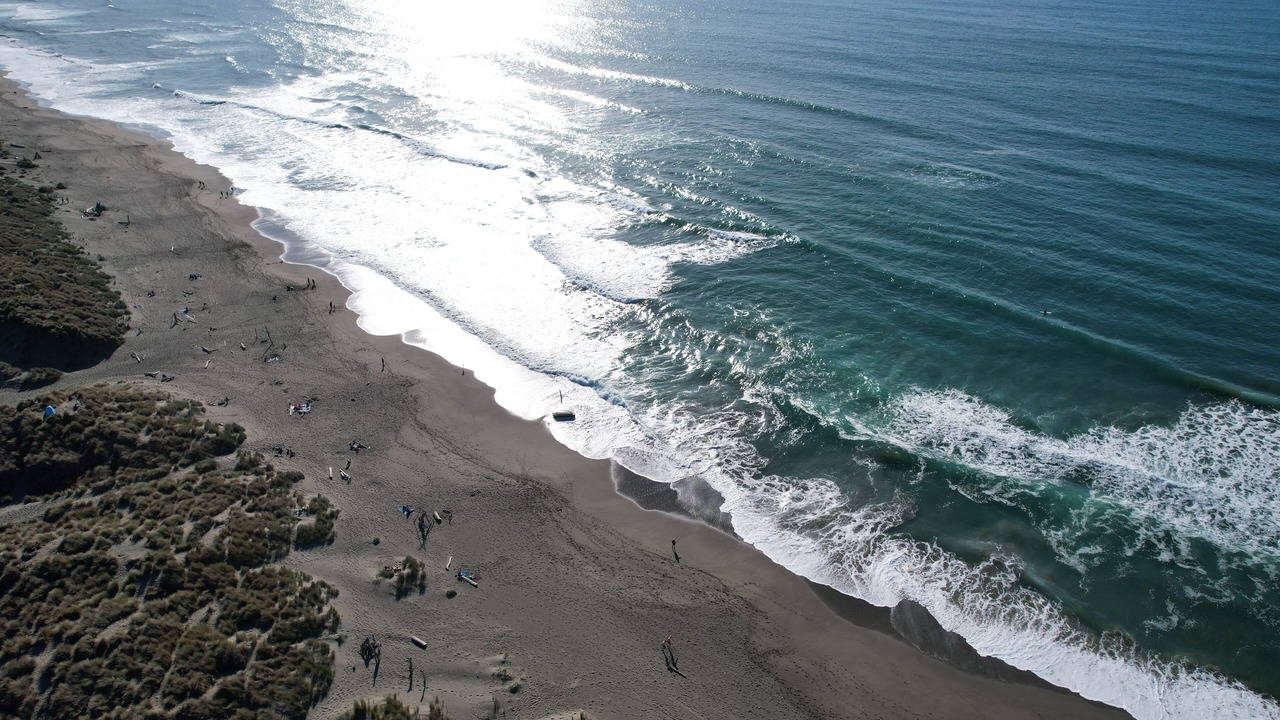 Photo of Others in Salmon Creek