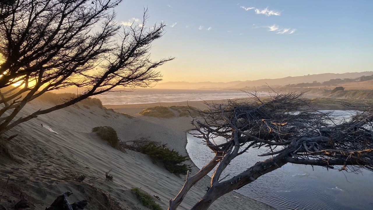 Photo of Others in Salmon Creek