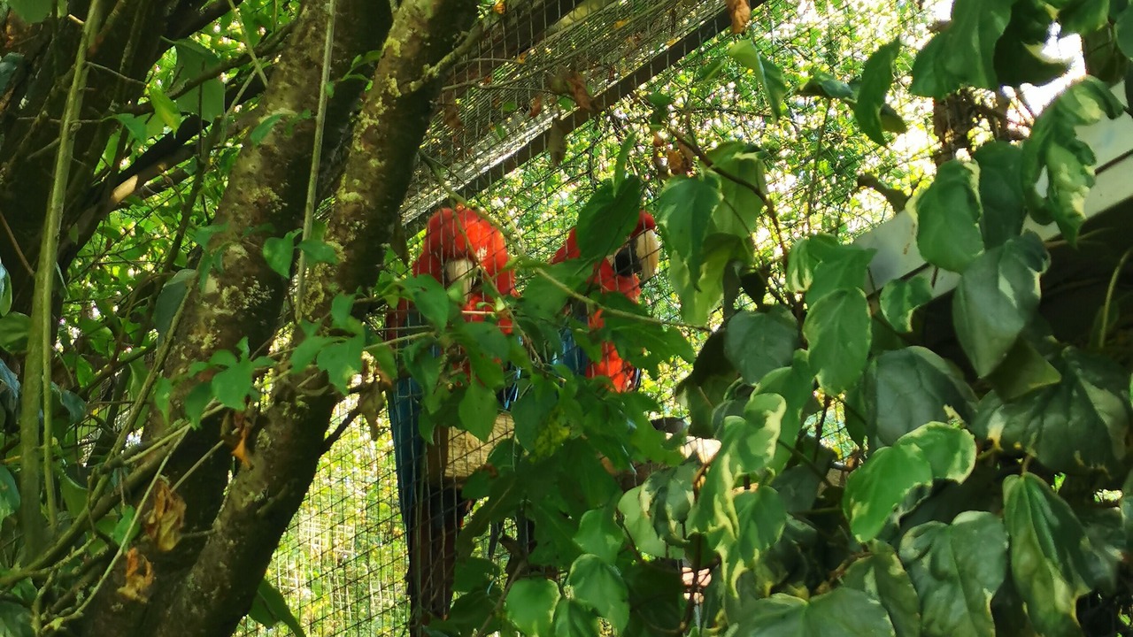 Photo of Outdoor in Athee