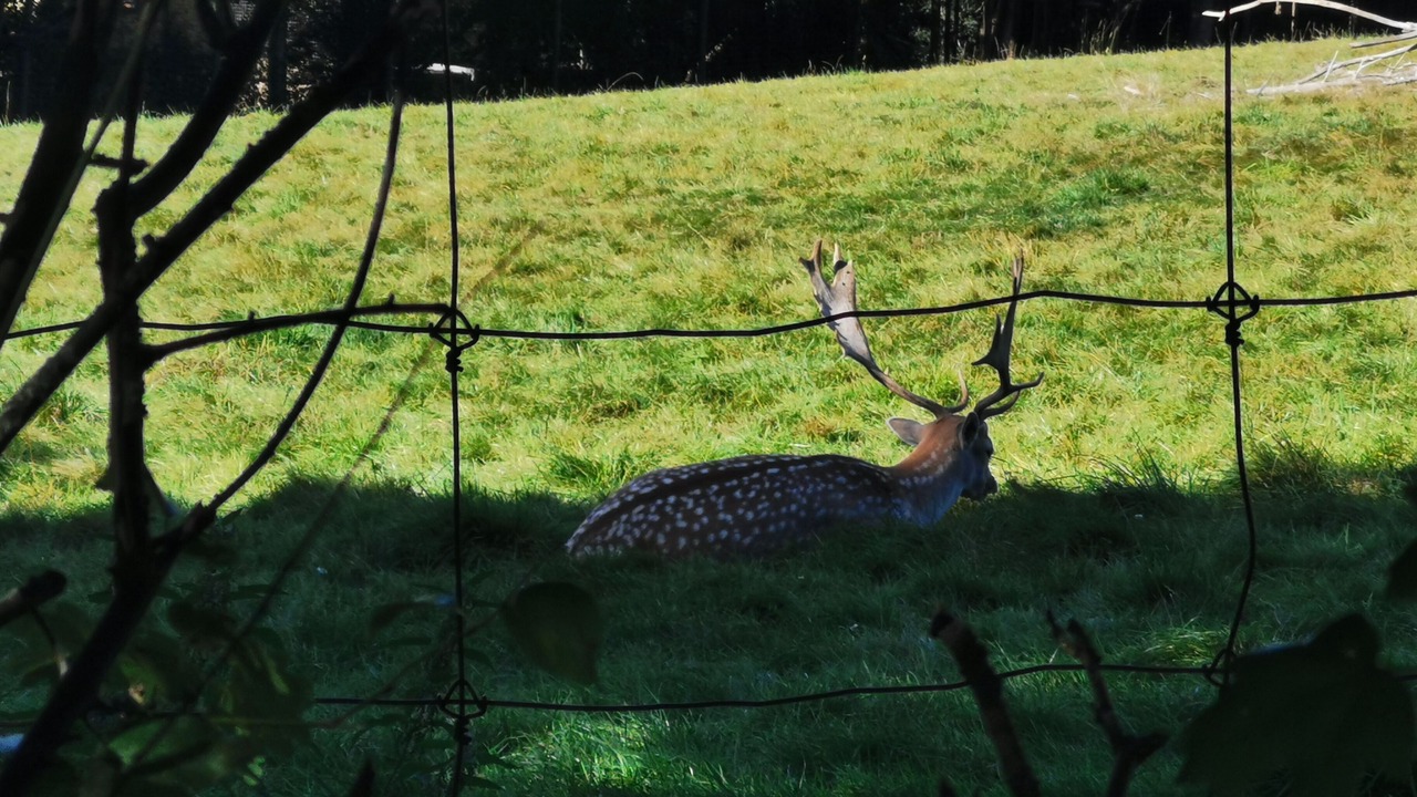 Photo of Outdoor in Athee