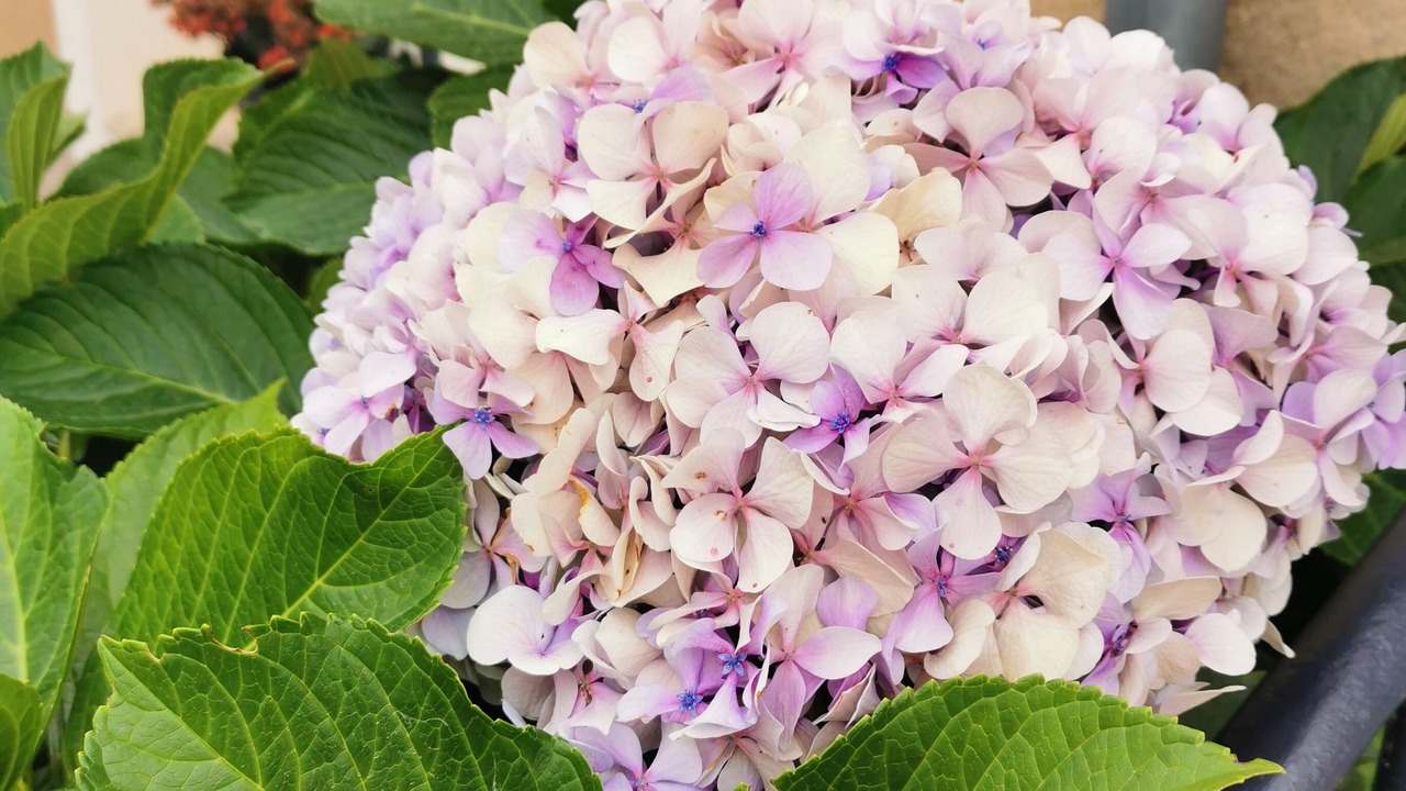 Photo of Outdoor in Athee