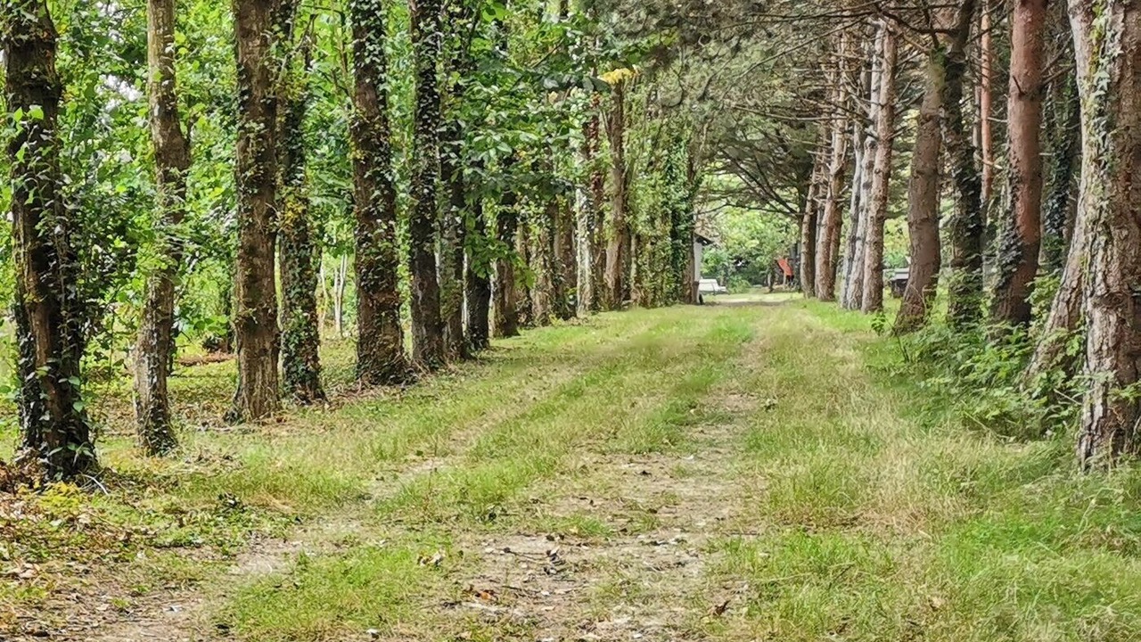 Photo of Outdoor in Athee