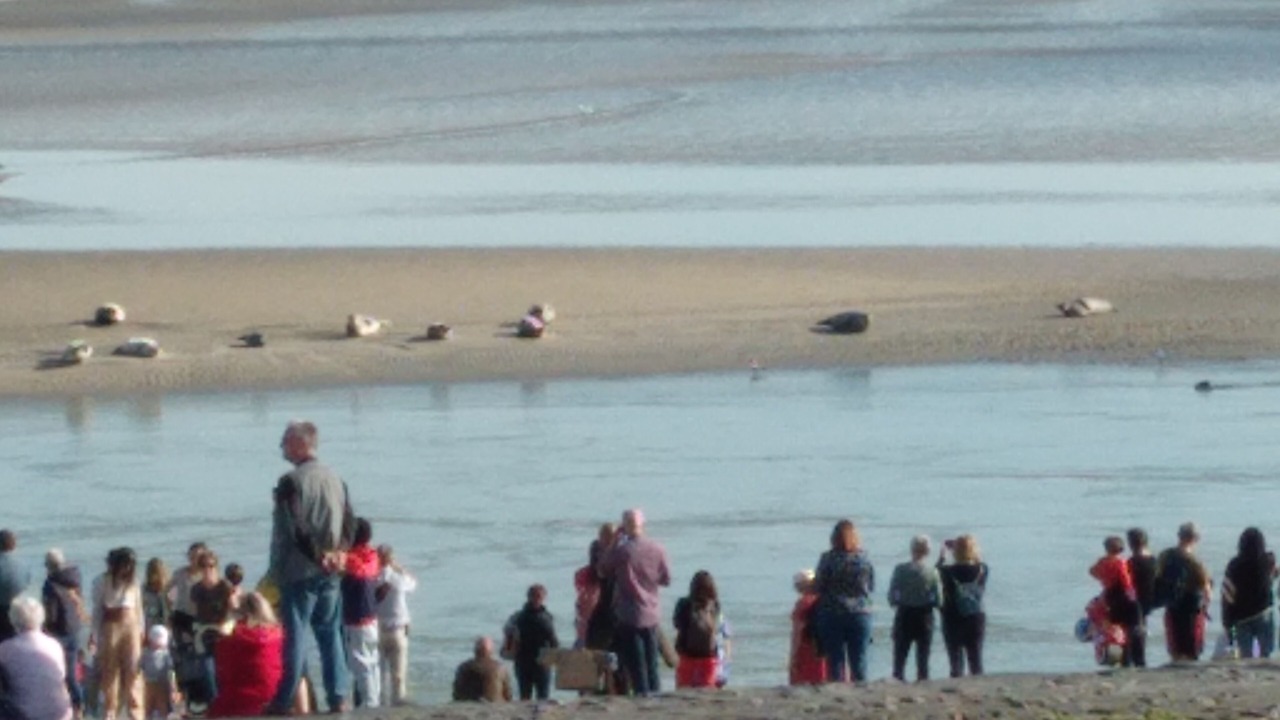 Photo of Others in Berck-sur-Mer