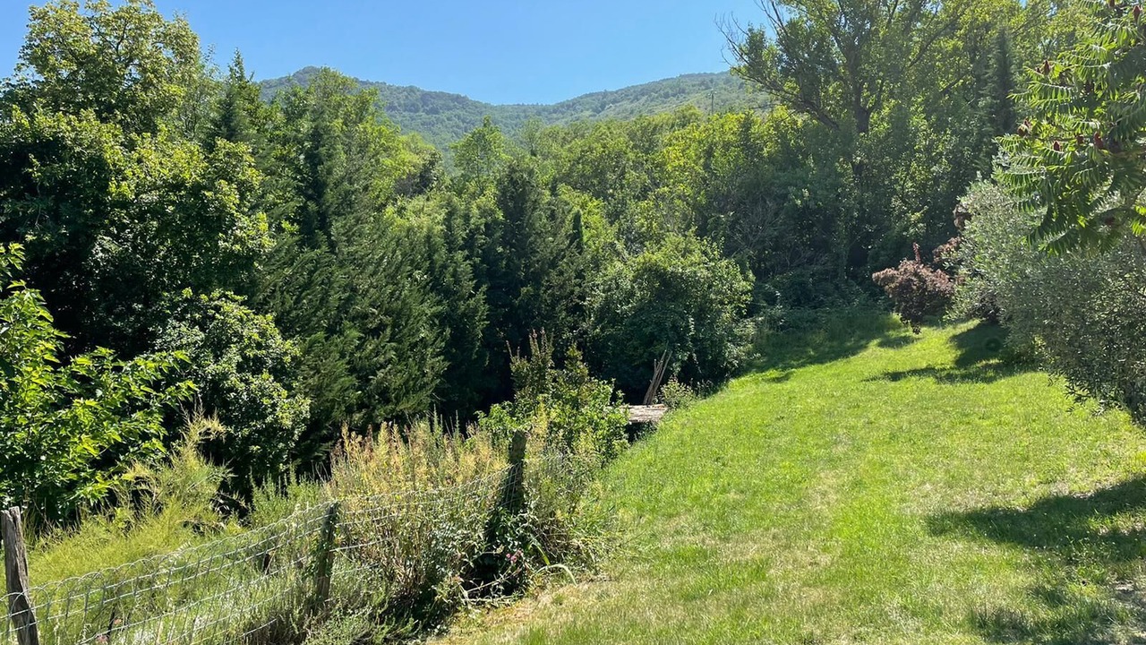 Photo of Outdoor in Saint-Martin-le-Superieur