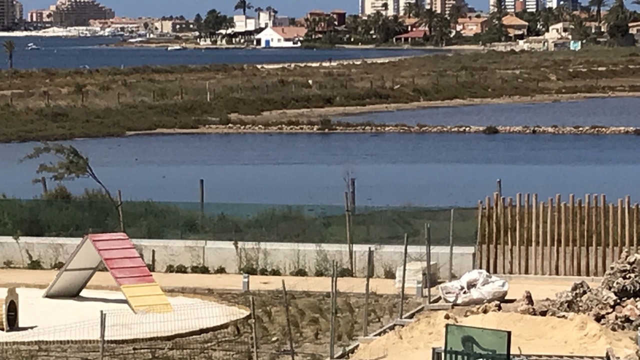 Photo of Others in Diputacion de Rincon de San Gines