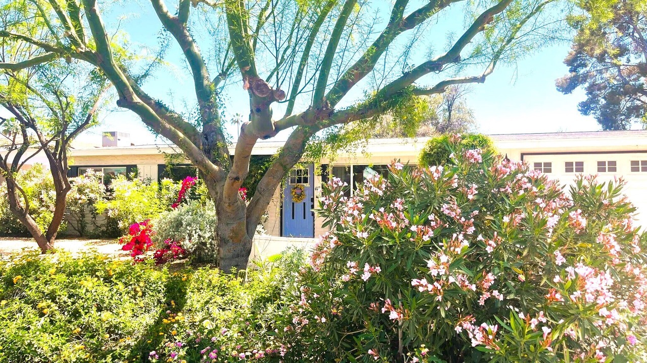Photo of Outdoor in Litchfield Park