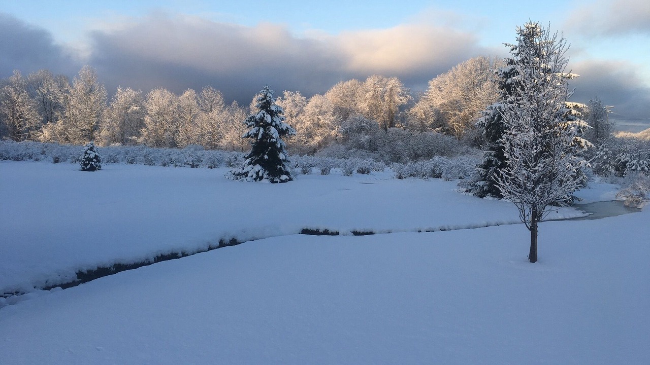 Photo of Outdoor in Pulaski