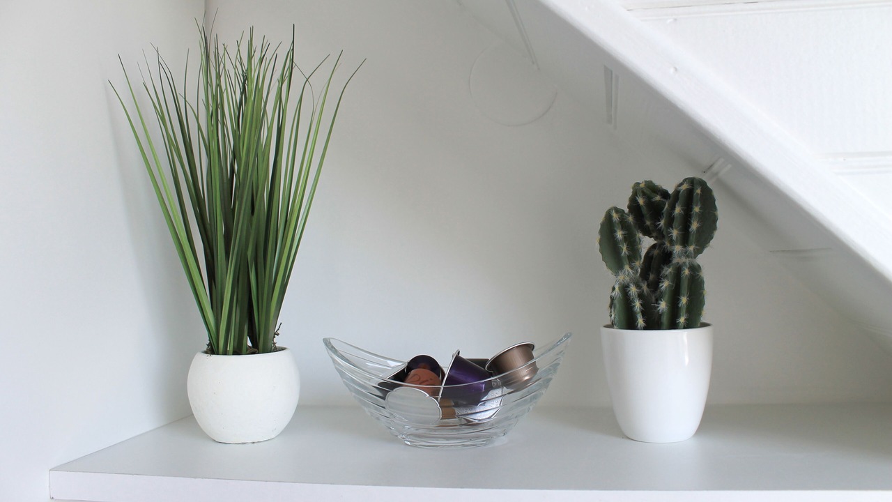 Photo of Others in Cabourg