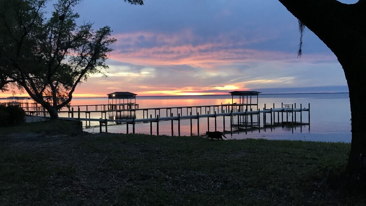 Photo of Outdoor in Gulf Breeze