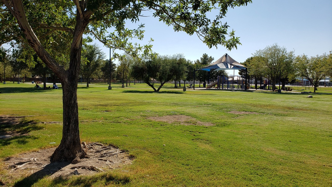 Photo of Outdoor in Sunrise Manor