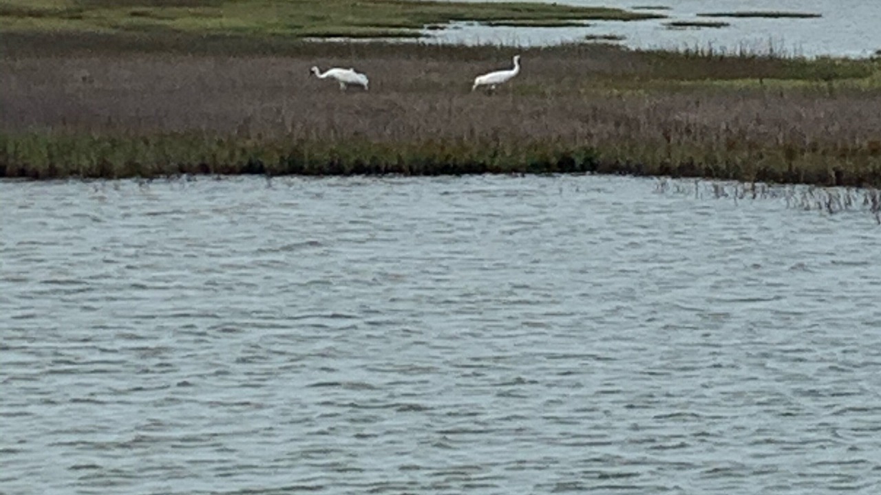 Photo of Others in Rockport